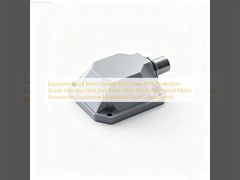 Explosieveilige motor afgedichte eindkap IP66 beschermingsgraad Roestvrijstalen eindkap Stofdichte waterdichte motoraccessoires Aangepaste explosieveilige componenten