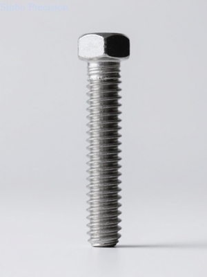 High Precision Slender Bolts for Industrial Machinery Sample 3-10 Working Day